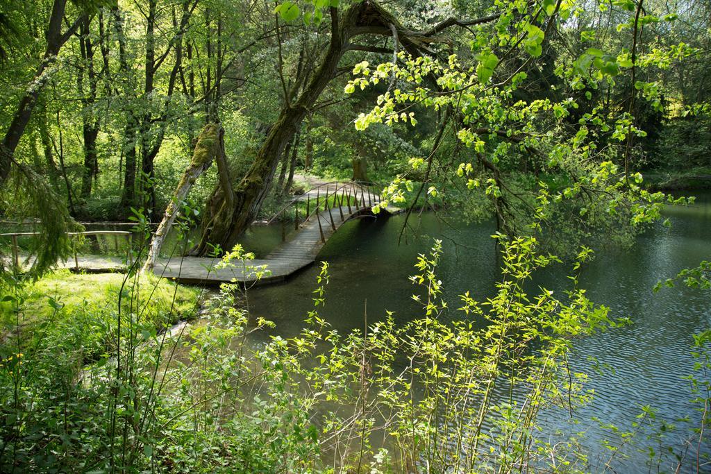 Hotel Reifenstein Kleinbartloff Zewnętrze zdjęcie