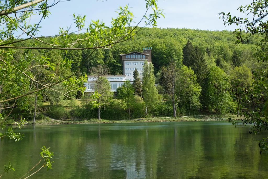 Hotel Reifenstein Kleinbartloff Zewnętrze zdjęcie